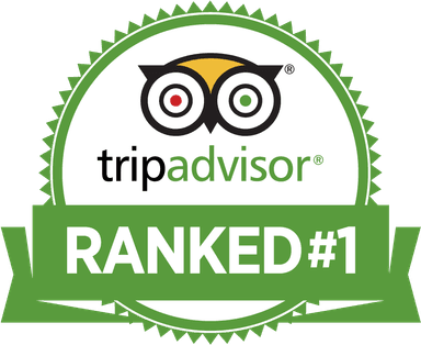 tripadvisor